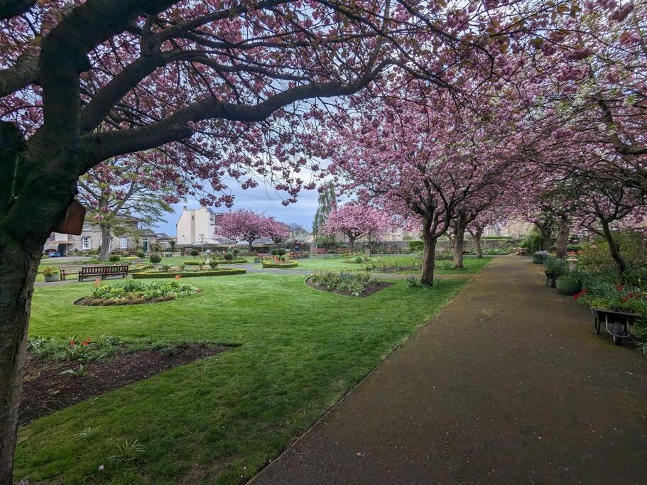 Peaceful Oasis By The Sea Apartment Edinburgh Exterior photo